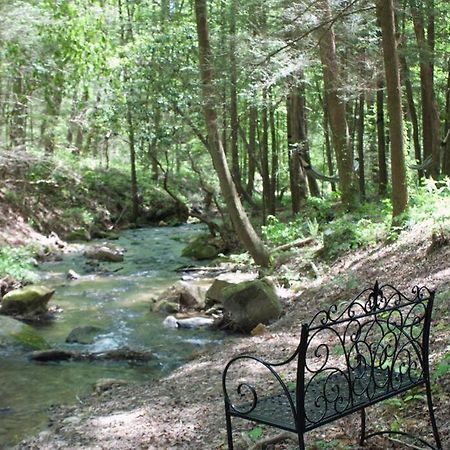 Private Creekside Cabin+Hot Tub,Pool Table, & Pets Ellijay Extérieur photo