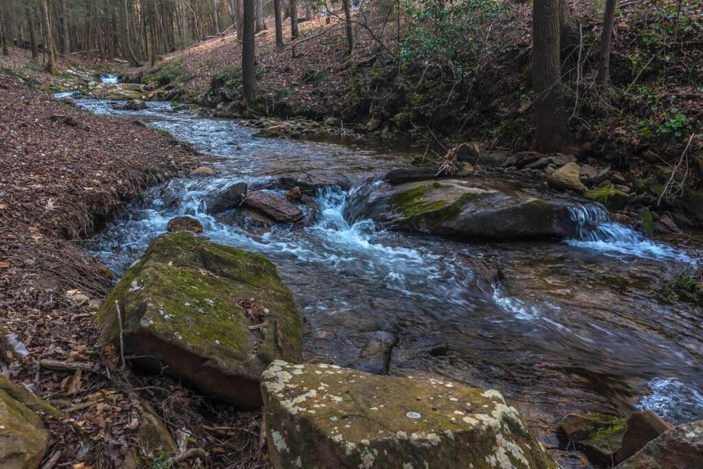 Private Creekside Cabin+Hot Tub,Pool Table, & Pets Ellijay Extérieur photo
